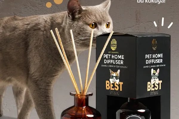 Neva Pet Shop - Resim 10