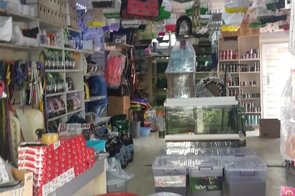 Ayaz Petshop - Resim 16