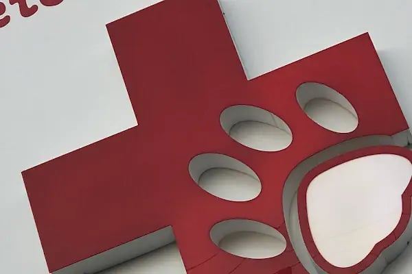 Yalı Veteriner Kliniği - Resim 2