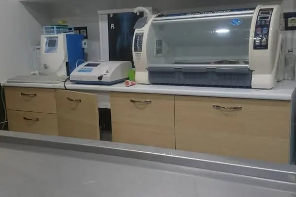 Yalı Veteriner Kliniği - Resim 7