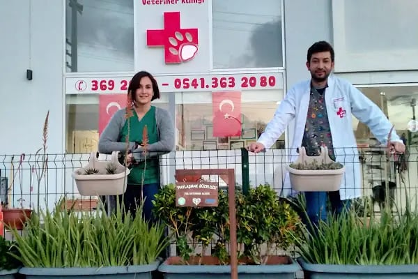 Yalı Veteriner Kliniği - Resim 4