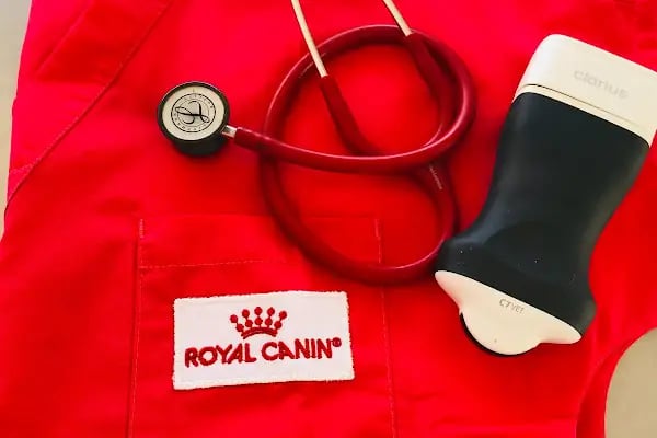 Yalı Veteriner Kliniği - Resim 9
