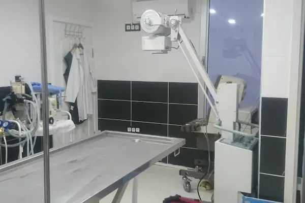 Yalı Veteriner Kliniği - Resim 3
