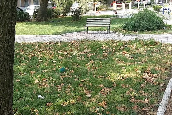 Sevgi Parkı - Resim 6