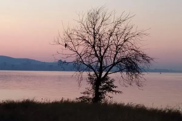Perili Köşk Restaurant - Resim 14