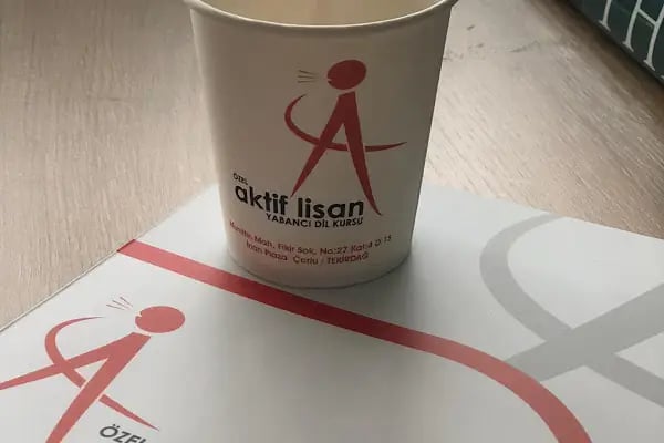 ÖZEL AKTİF LİSAN YABANCI DİL KURSU - Resim 8