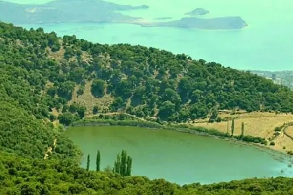 Taşev otel - Resim 16