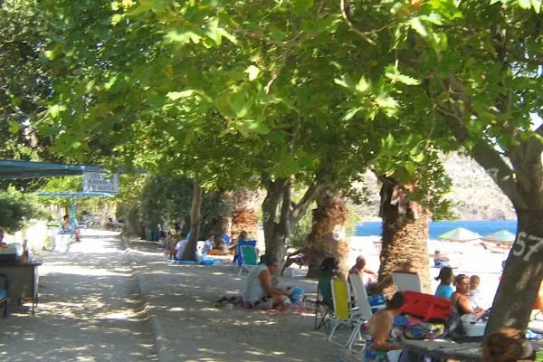 Taşev otel - Resim 11