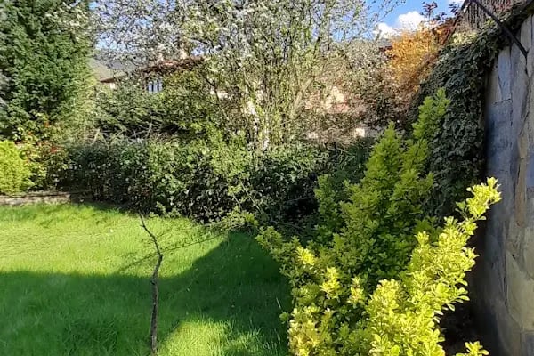 Bahçecik Beykoz Villaları C Mahallesi - Resim 6