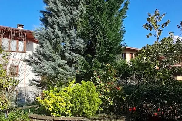 Bahçecik Beykoz Villaları C Mahallesi - Resim 5