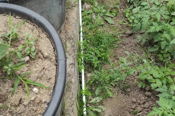 Bahçecik Beykoz Villaları C Mahallesi - Resim 18