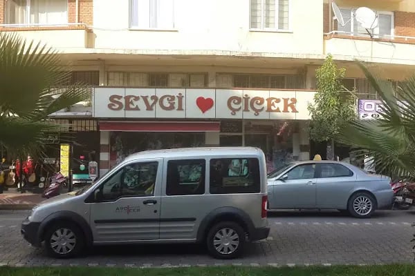 Sevgi Çiçekçilk - Resim 4