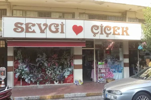 Sevgi Çiçekçilk - Resim 6