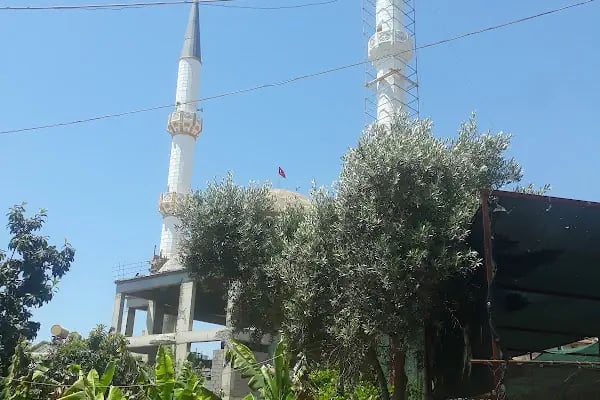 Mer. Dinek Cami - Resim 14