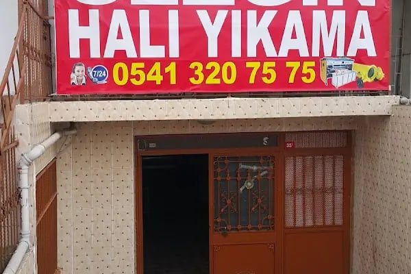 Sezgin hali yikama - Resim 5