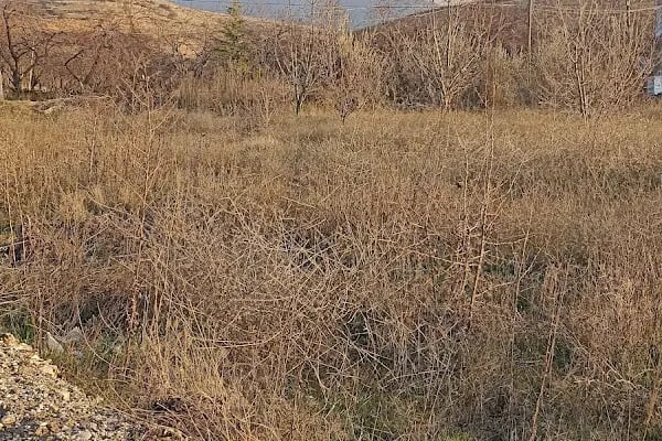 Belsos Horata Mesire Alanı - Resim 15