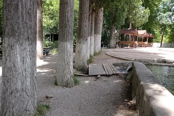 Belsos Horata Mesire Alanı - Resim 6