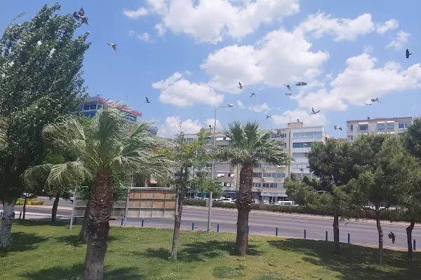 Bayraklı Sahil - Resim 19