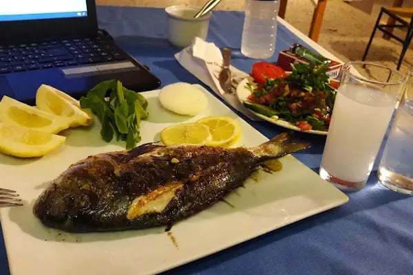 Hotel Dolphıne - Resim 17