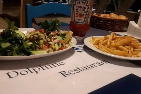 Hotel Dolphıne - Resim 9