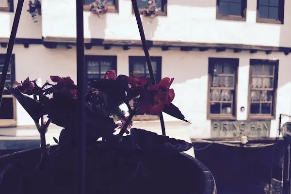 Quzine Cafe Bistro - Resim 15