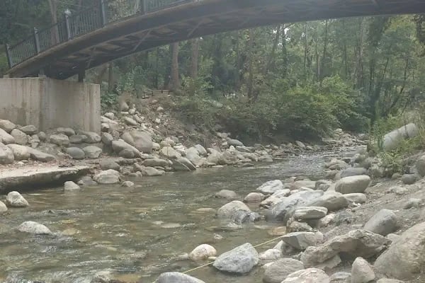 Cerrah Belediyesi Düğün Ve Toplantı Salonu - Resim 11