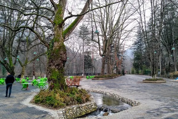 Cerrah Belediyesi Düğün Ve Toplantı Salonu - Resim 15