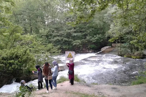 Cerrah Belediyesi Düğün Ve Toplantı Salonu - Resim 10