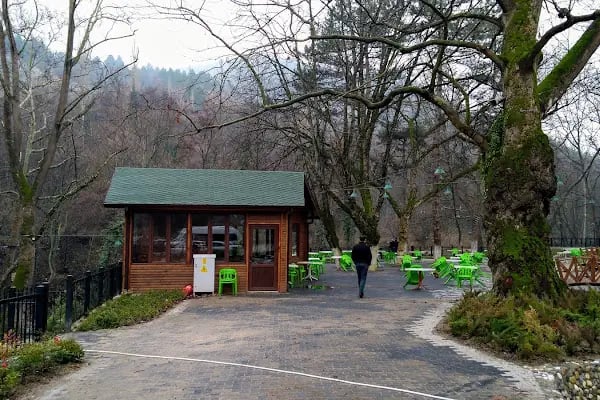 Cerrah Belediyesi Düğün Ve Toplantı Salonu - Resim 3
