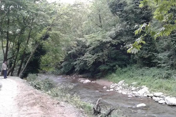 Cerrah Belediyesi Düğün Ve Toplantı Salonu - Resim 6