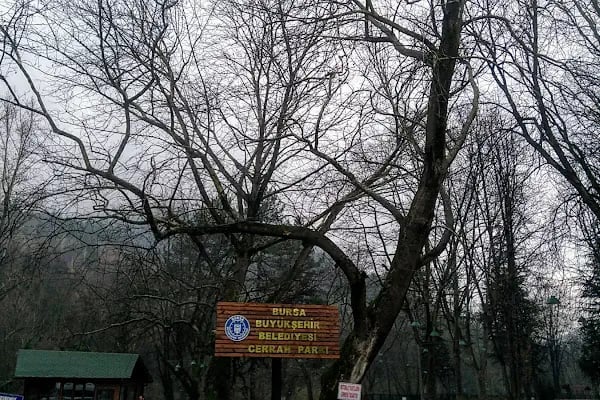 Cerrah Belediyesi Düğün Ve Toplantı Salonu - Resim 9