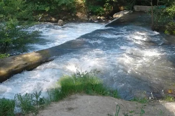 Cerrah Belediyesi Düğün Ve Toplantı Salonu - Resim 5