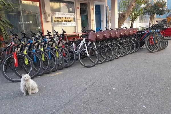 Heybeliada Ahmet Bike bisiklet gezegeni - Resim 4