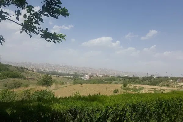 Ankara Binicilik İhtisas Kulübü - Resim 13