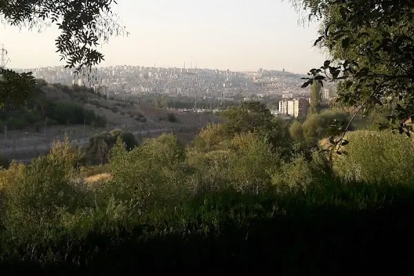 Ankara Binicilik İhtisas Kulübü - Resim 19
