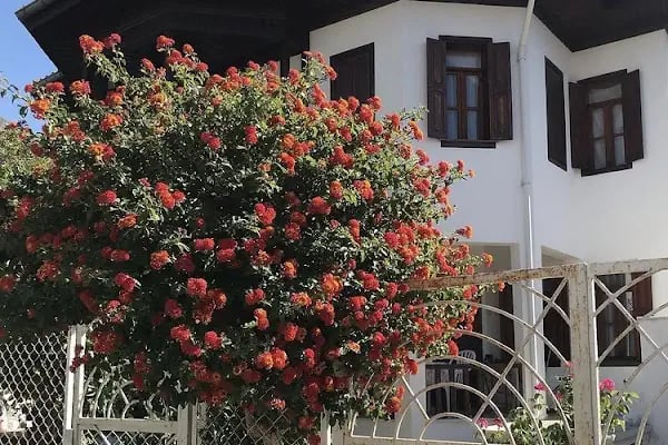 Akyaka muğla - Resim 18