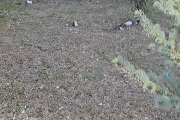Ankara Üniversitesi Spor Bilimleri Fakültesi - Resim 9