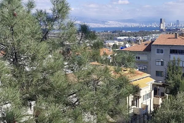Niyazi Uğur Cami - Resim 14