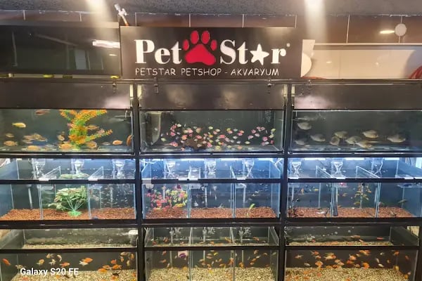PETSTAR PETSHOP - Resim 13