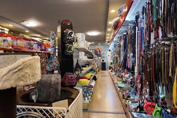 PETSTAR PETSHOP - Resim 2