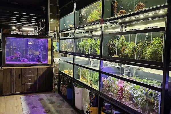 PETSTAR PETSHOP - Resim 5