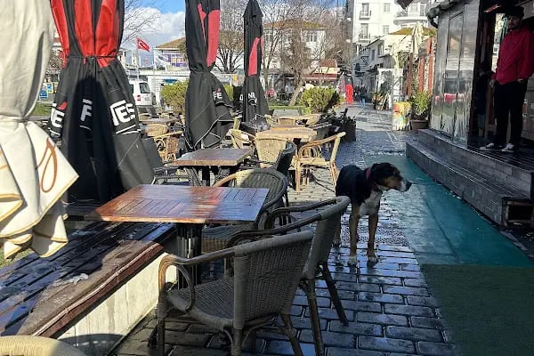 Nissi Restaurant &amp; cafe - Resim 13