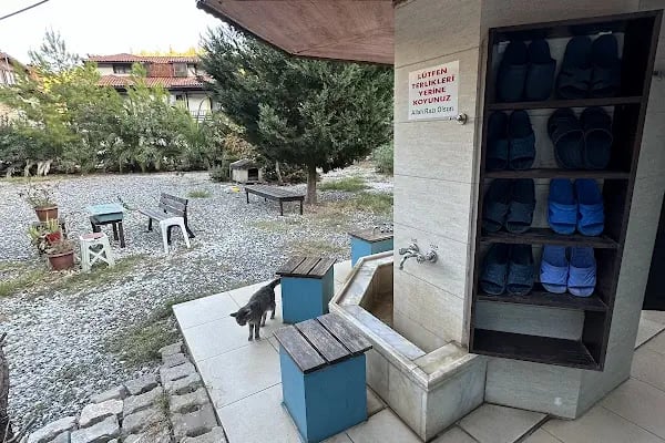 Akyaka Mahallesi İskele Camii - Resim 19