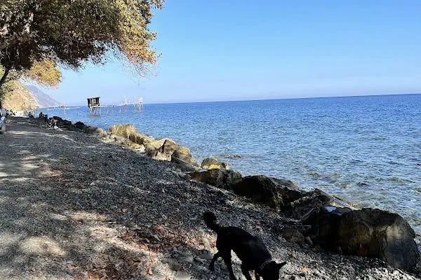 Uçmak Dere Kamp Alani - Resim 5