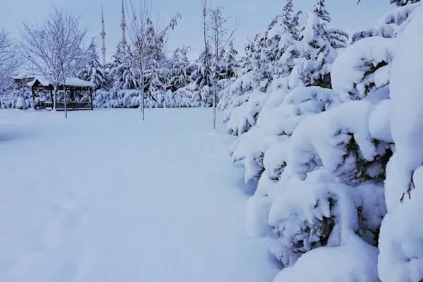 Karapürçek Yüzme Havuzu - Resim 19