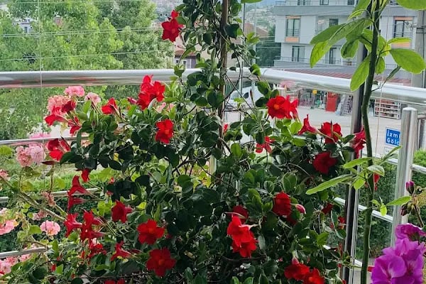 Kolaylı Kullar Sitesi - Resim 5