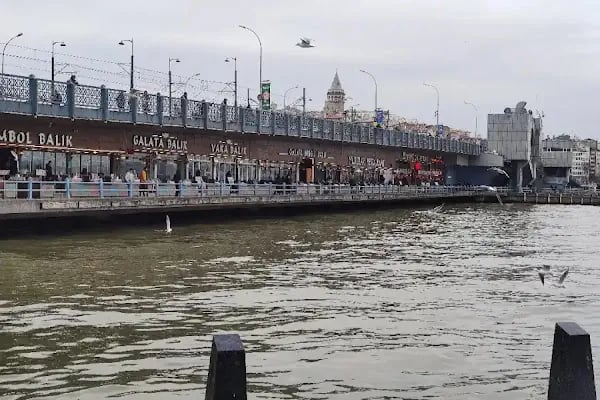 Yeni Kadıköy (Şehir Hatları) İskelesi - Resim 15