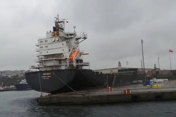 Yeni Kadıköy (Şehir Hatları) İskelesi - Resim 9