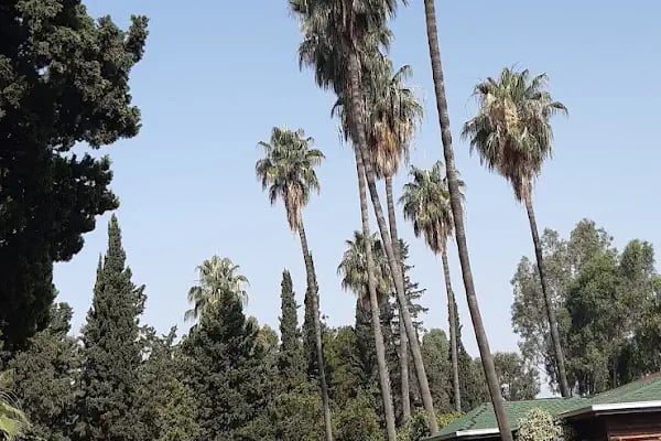 Adana Asri Mezarlığı - Resim 16