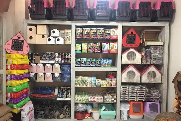 By Guşci Petshop Petmarket - Resim 19